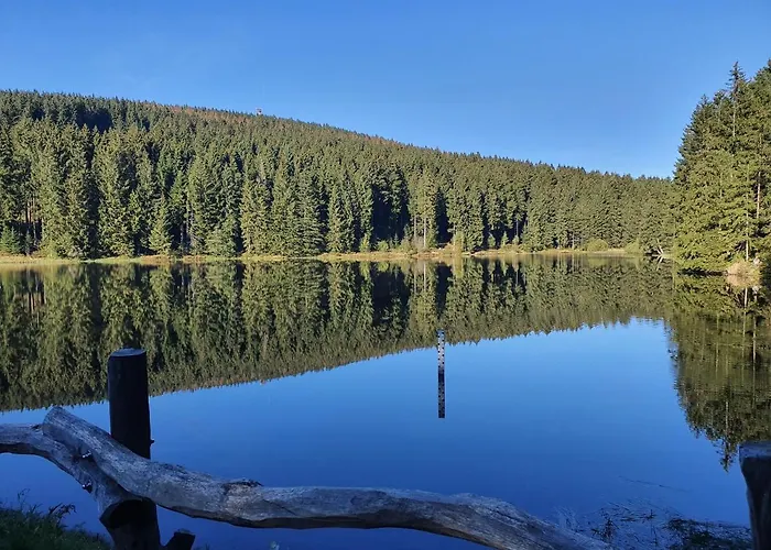 Harz Enjoy - Vier Jahreszeiten Apartamento *
