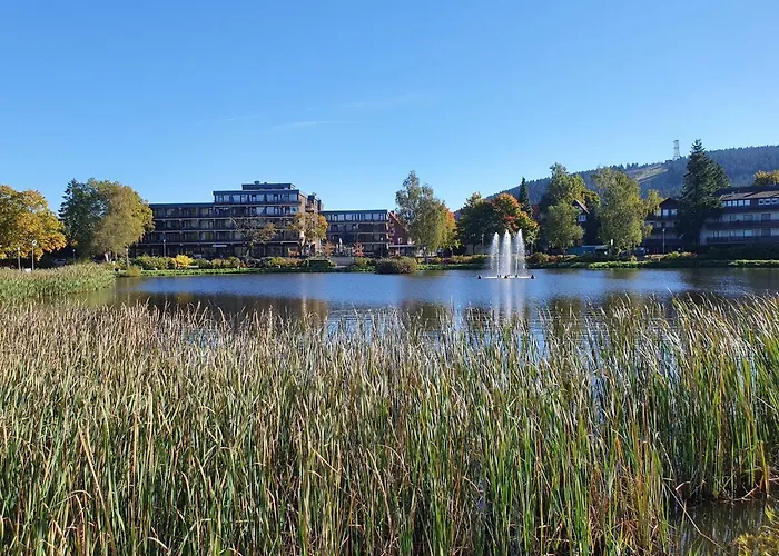 Harz Enjoy - Vier Jahreszeiten
